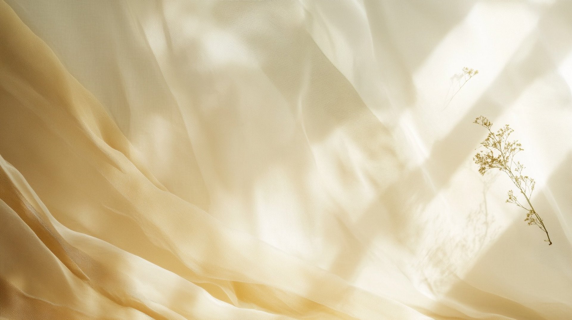 Kaja — Subtle Somatics